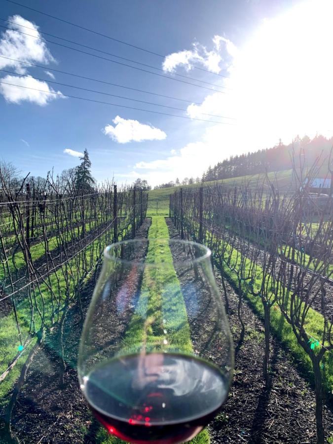 The Setting Inn Willamette Valley ニューバーグ エクステリア 写真
