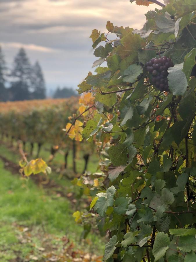 The Setting Inn Willamette Valley ニューバーグ エクステリア 写真